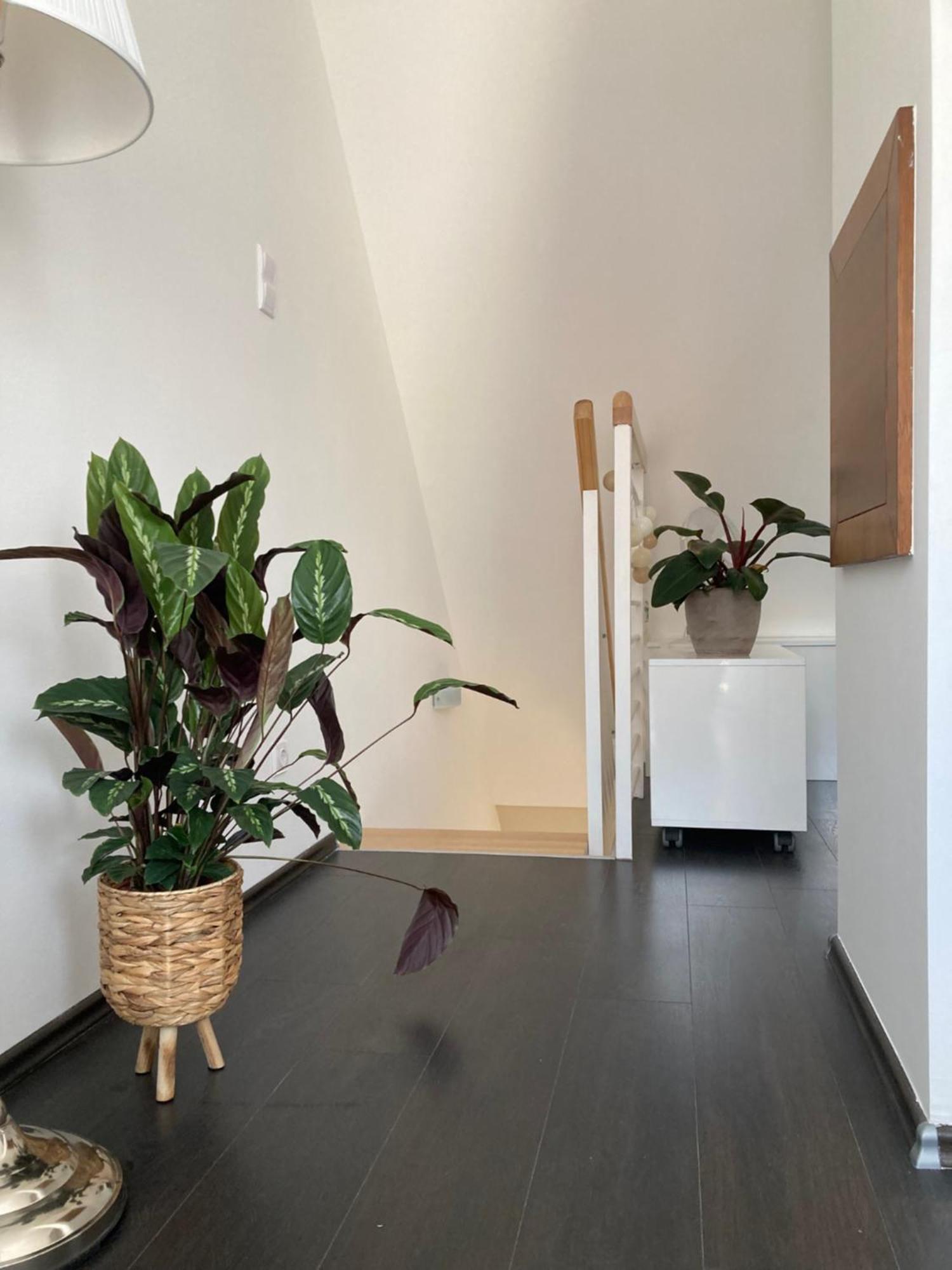 Buda Chill Loft Lejlighed Budapest